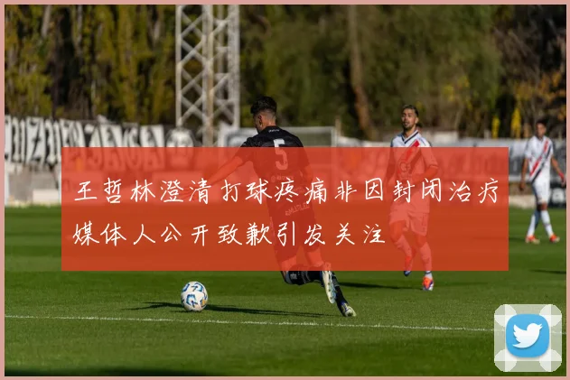 王哲林澄清打球疼痛非因封闭治疗媒体人公开致歉引发关注