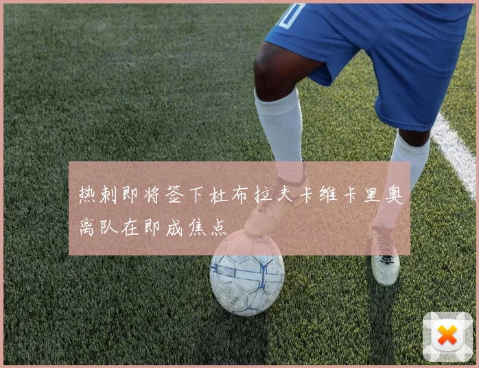 热刺即将签下杜布拉夫卡维卡里奥离队在即成焦点