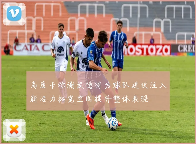 乌度卡称谢泼德将为球队进攻注入新活力拓宽空间提升整体表现