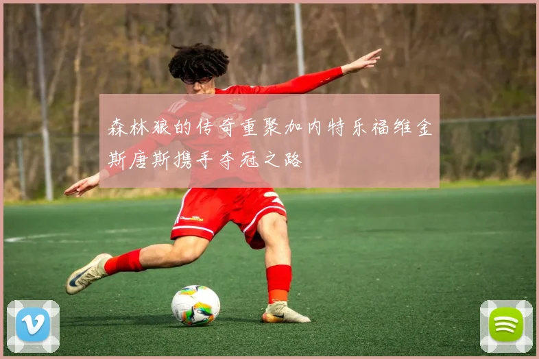 森林狼的传奇重聚加内特乐福维金斯唐斯携手夺冠之路